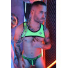Breedwell Harnais court Tank Futura Vert Neon